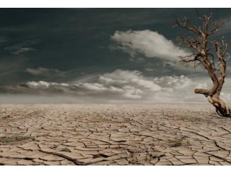 Charla "Consumo Responsable y Cambio Climático”